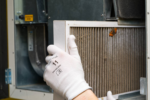Affordable HVAC Duct Cleaning in Encinal, TX