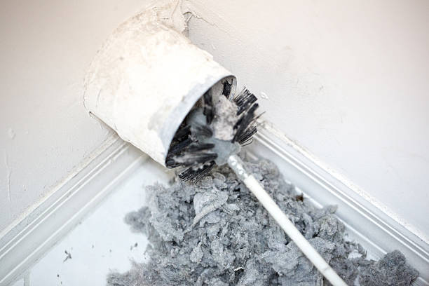 Best Affordable Air Duct Cleaning  in Encinal, TX